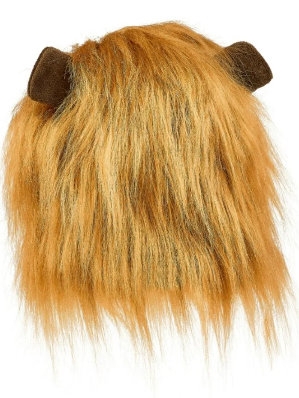 Petco new lion